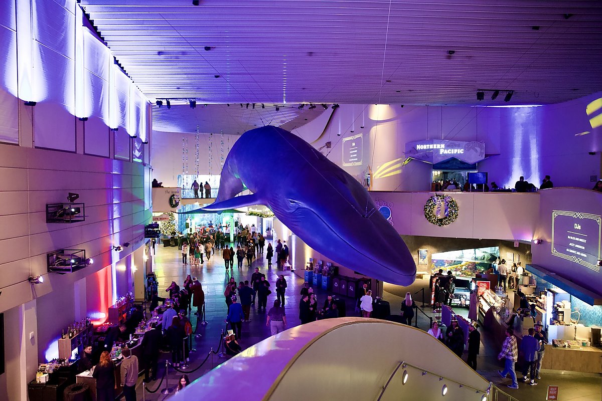 Great Hall in purple lighting with blue whale model hanging in the center. Visible holiday decorations and guests walking about.