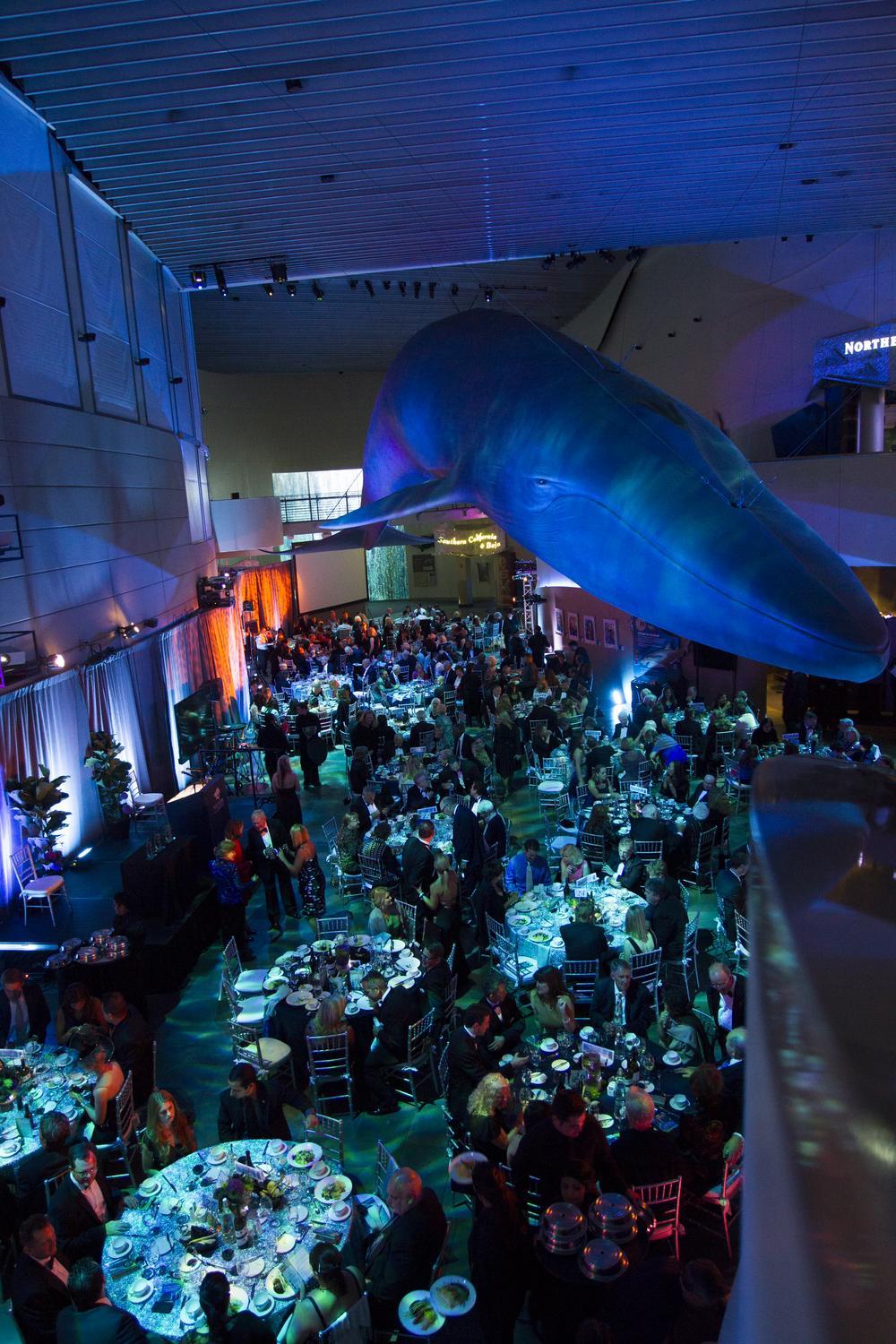 a blue whale sculpture hangs in the Great Hall at an evening event with round tables and dining