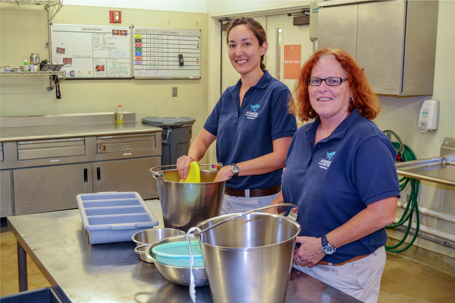 Adult volunteers with feed buckets for animals